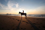 побережье, лошадь, пляж, девушка, Берег, песок, следы