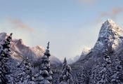 Природа, лес, горы, зима