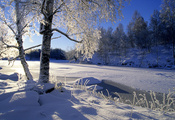 солнце, Деревья, лес, река, зима, снег