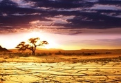 небо, горизонт, саванна, African landscape, пейзаж, sunrise, африка