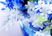 цвет, листки, Цветы, голубой, нежно, букет, синий