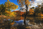 осень, деревья, Природа, озеро
