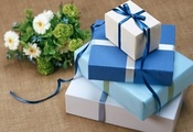 Праздники, подарки, цветы, синий, голубой, лента