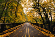 мост, листва, осень, Природа, дорога