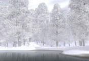 волки, лес, снег, Зима, деревья, озеро