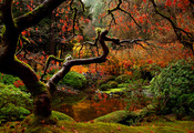 осень, люди, мост, парк, Природа, японский, сад