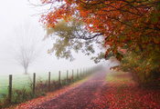 дорожка, Осень, тропинка, парк, человек, забор, туман