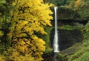 природа, деревья, Осень, лес, водопад
