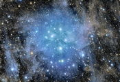 плеяды, скопление, M45