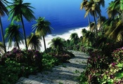 море, зелень, пальмы, Тропики, ступеньки, лестница
