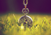 природа, макро, время, свет, Часы, трава, зелень
