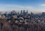 Монреаль, деревья, канада, снег, зима