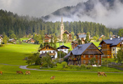 деревня, коровы, Gosau village, дома, австрия, austria деревня, коровы, Gosau village, дома, австрия, austria