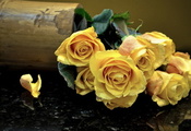 розы, Цветы, букет, желтые