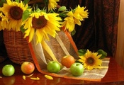 лепестки, Подсолнухи, натюрморт, цветы, фрукты, яблоки