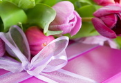 сиреневый, розовый, тюльпан, фиолетовый, Цветы, цветок