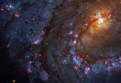 гидра, Спиральная галактика, m83, созвездие