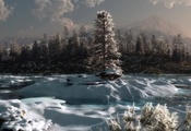 Пейзаж, снег, зима, лес