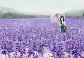 зонт, корзина, зонтик, Арт, лаванда, поле, цветы, девушка