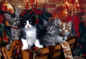 новый год, кошки, праздник, коты, Котята, четыре