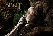 нежданное путешествие, Хоббит, an unexpected journey, the hobbit