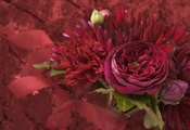 букет, фиолетовый, flowers, Цветы, бордовый, малиновый