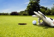 мяч, газон, гольф, игра, перчатка, лунка, рука, Golf, спорт