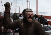 rise of the planet of the apes, Восстание планеты обезьян