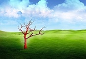 Природа, красное, небо, облака, трава, луг, дерево