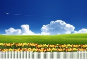 трава, Природа, тюльпаны, луг, цветы, забор, небо