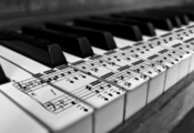 черно-белое, пианино, клавиши, ноты, Karl683