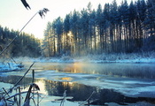 Зима, снег, река, пейзаж, деревья