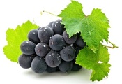 листья, grapes, Виноград, ягода, белый фон, гроздь