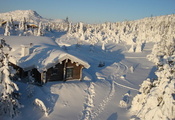 Зима, снег, дом, деревья, природа
