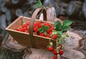 ягоды, клубника, Еда