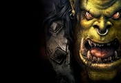 военное ремесло, orcs, Warcraft 3, reign of chaos, варкрафт 3