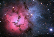 ngc 6514, nebula, космос, m20, туманность, Тройная туманность