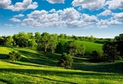 Green valley, зелёная, scenery, trees, photo, landscape, blue sky, clouds,  ...