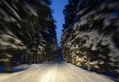 снег, дорога, Макро, деревья, finland, зима, финляндия