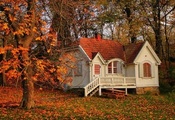 дом, осень, Природа, листья, деревья, пейзаж, дерево