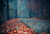 парк, дорожка, листва, люди, Осень