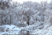 снег, деревья, Зима, река