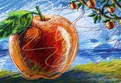 фрукты, яблоко, яблоня, макро, дерево, Рисунок