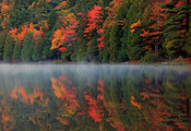 река, отражение, осень, туман, Природа, лес