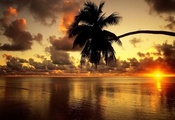 море, пальма, закат, солнце, небо