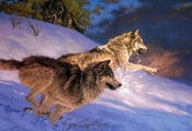 снег, волки, зима, Greg beecham, арт