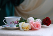 стол, праздник, цветы, Натюрморт, чашка, розы, чай