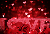 любовь, сердце, роуз, Цветы