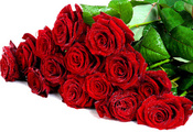 roses, Flower, wet, red roses, cool, flowers, bouquet, drops, nice, lovely, ...