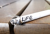 smoke, окурок, слово, жизнь, Сигарета, life, дым